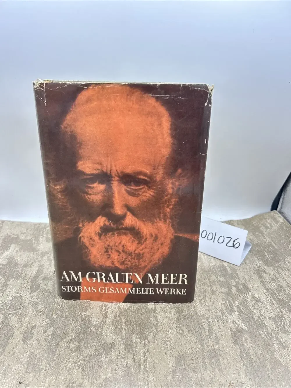 Am Grauen Meer: Gesammelte Werke by Theodor Storm - hardback